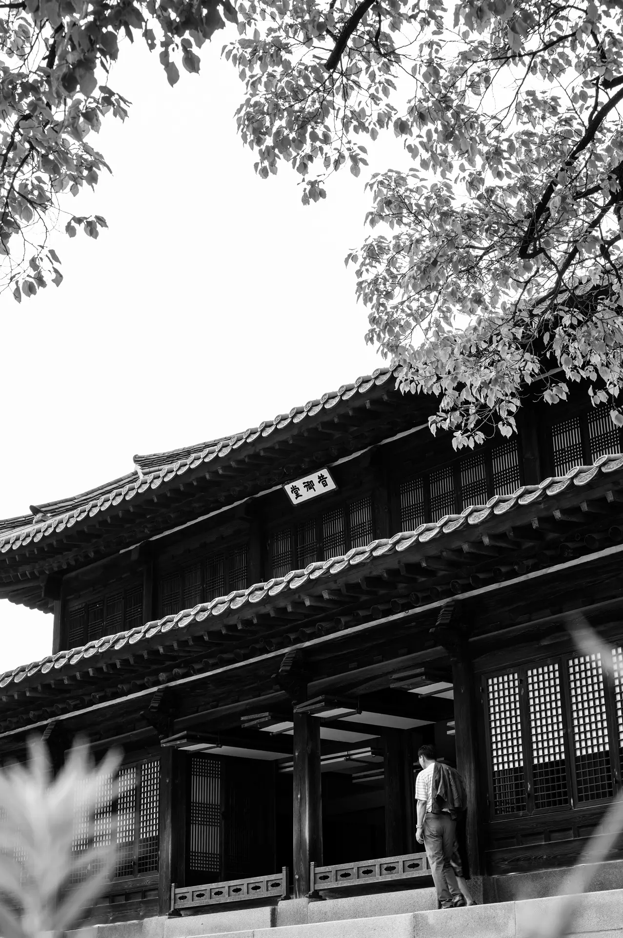 Deoksugung, bnw, exterior