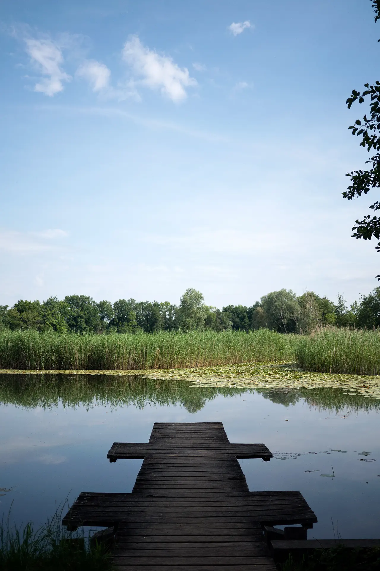 Etang de Crosagny