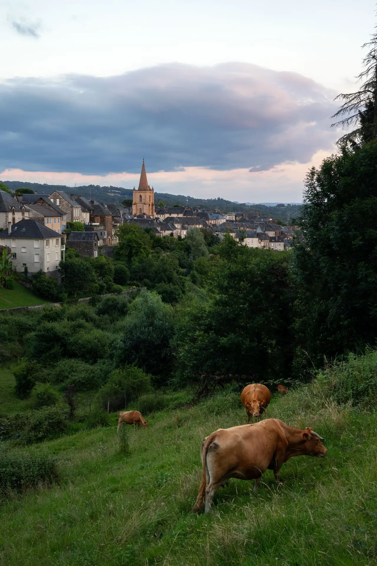Donzenac