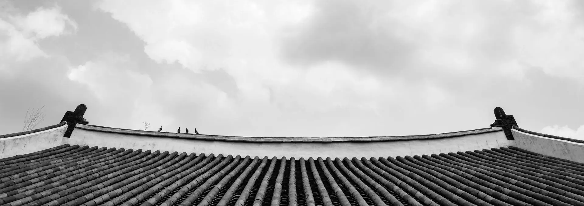 Gyeonghuigung roof, bnw, exterior