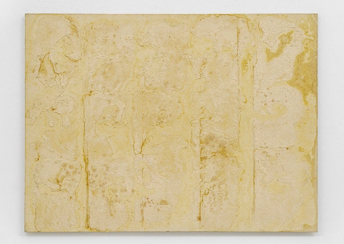 Chung Chang-Sup, Tak 88001, 1988